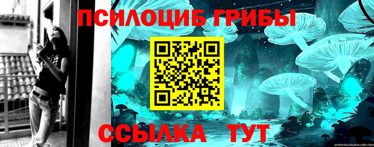 Псилоцибиновые грибы Magic Shrooms  Вход с VPN  Горячий Ключ 